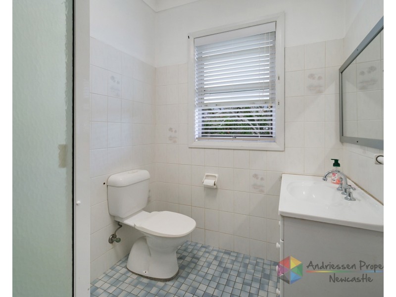 55 Lowry Street, Cardiff NSW 2285