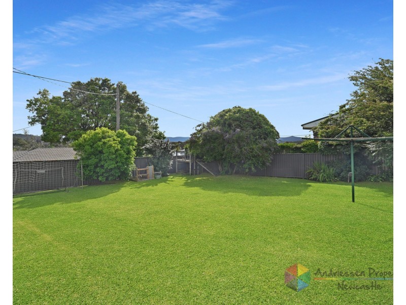 55 Lowry Street, Cardiff NSW 2285