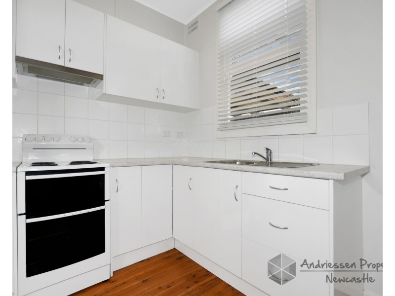 62  Ridley Street, Edgeworth NSW 2285