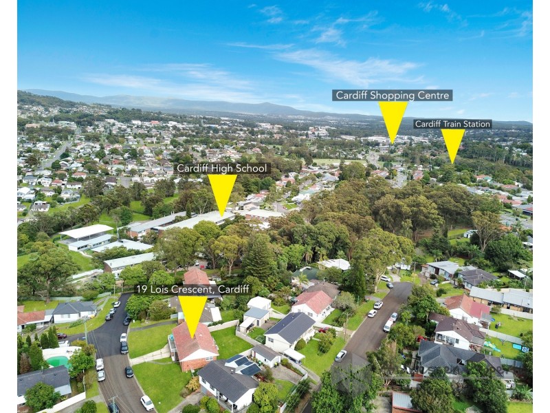 19 Lois Crescent, Cardiff NSW 2285
