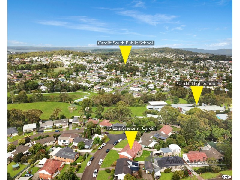 19 Lois Crescent, Cardiff NSW 2285