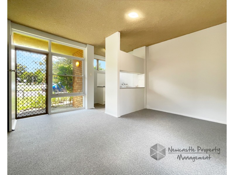 2/30 Railway Road, New Lambton NSW 2305
