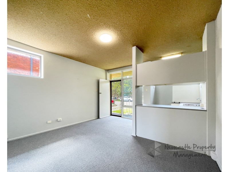 2/30 Railway Road, New Lambton NSW 2305