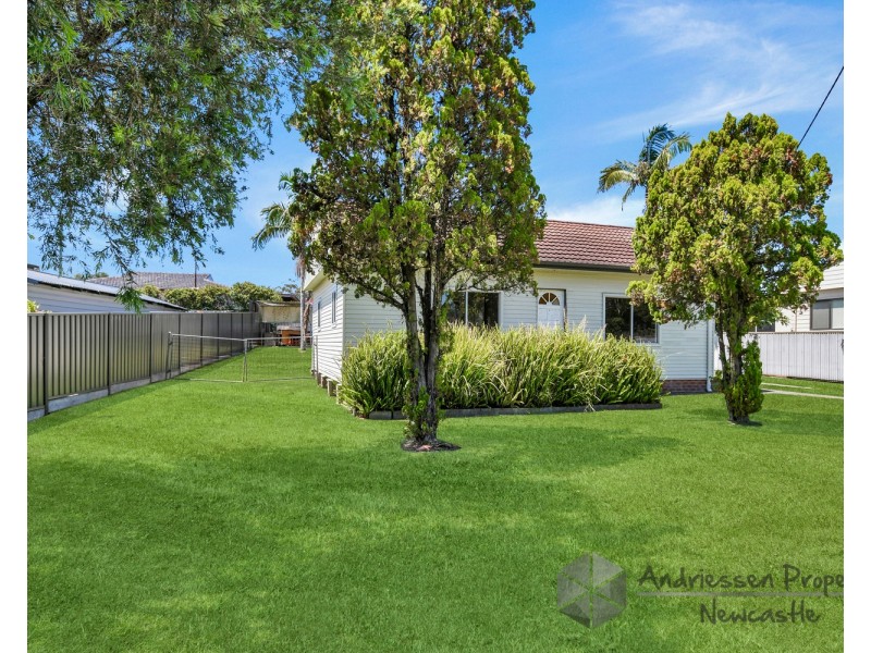 14 Waterview Road, Cardiff South NSW 2285