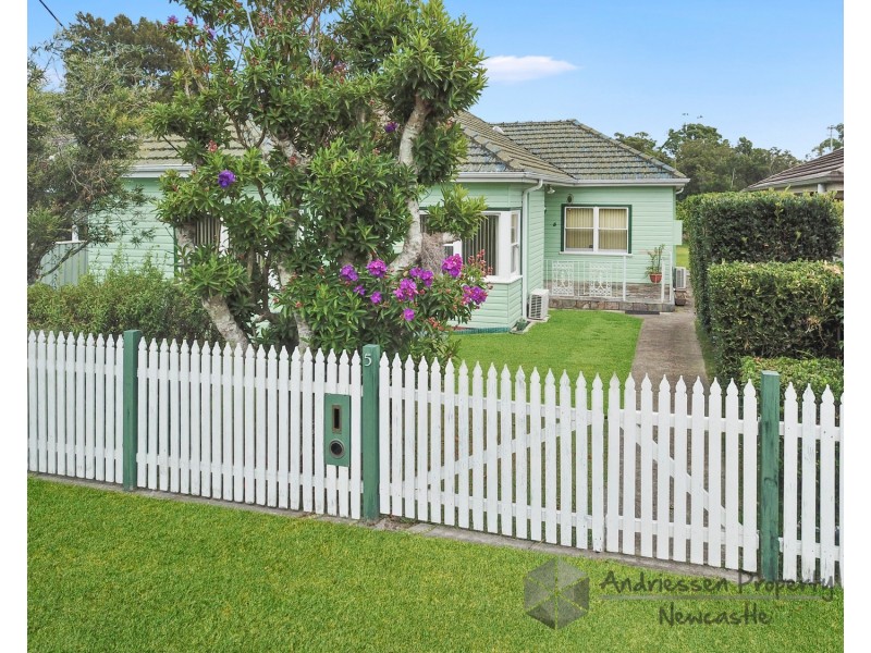 5 Paul Street, Cardiff NSW 2285