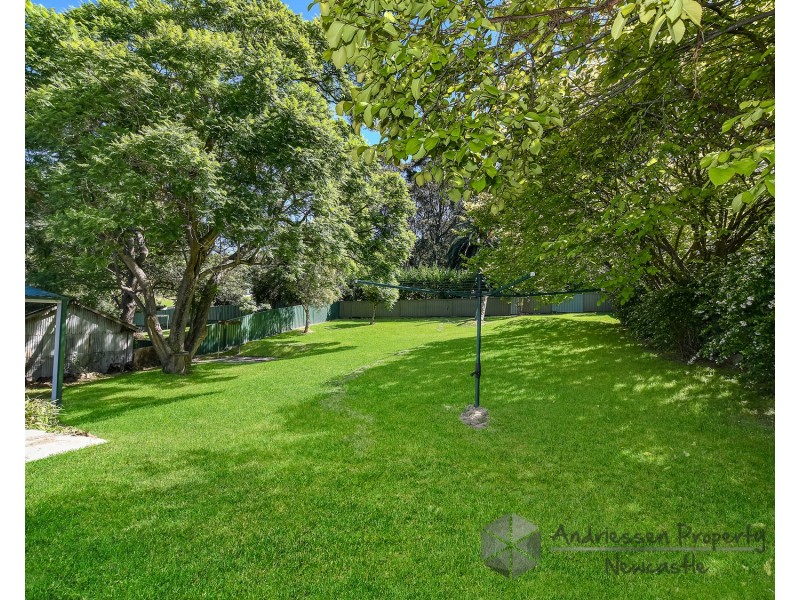 117 Railway Street, Teralba NSW 2284