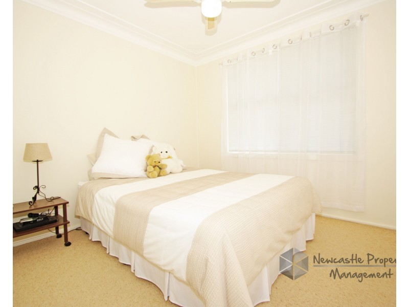 124 Myall Road, Cardiff NSW 2285