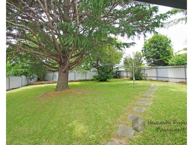 124 Myall Road, Cardiff NSW 2285