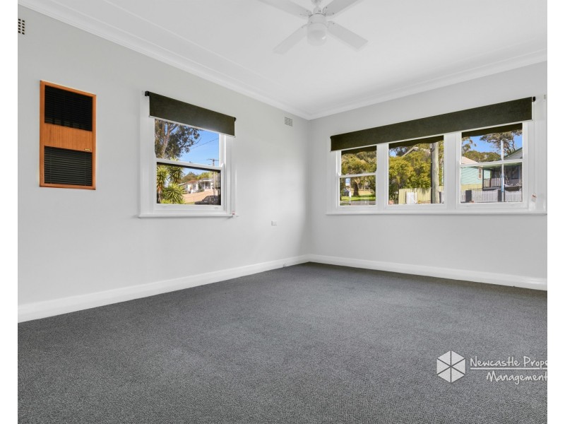 119 Cardiff Road, Elermore Vale NSW 2287