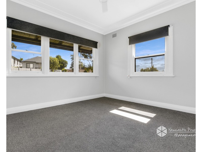 119 Cardiff Road, Elermore Vale NSW 2287