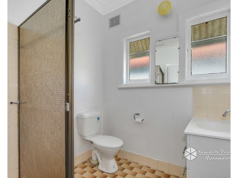 119 Cardiff Road, Elermore Vale NSW 2287