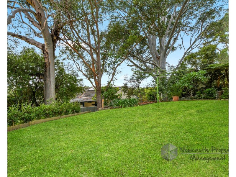 282 McCaffrey Drive, Rankin Park NSW 2287