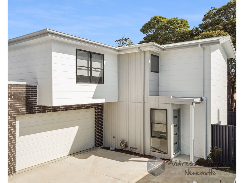 1/4 Sneddon Court, Boolaroo NSW 2284
