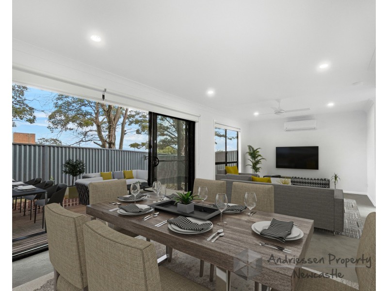 1/4 Sneddon Court, Boolaroo NSW 2284