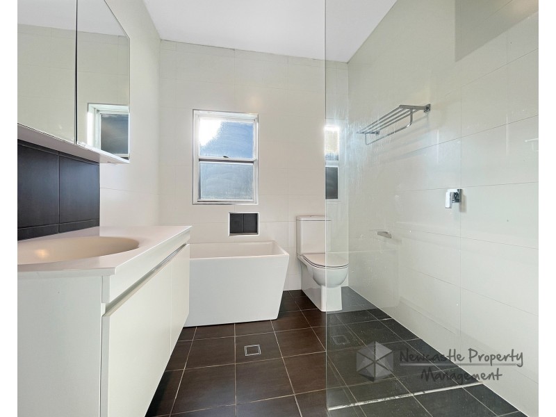 12a Whitton Street, Wallsend NSW 2287