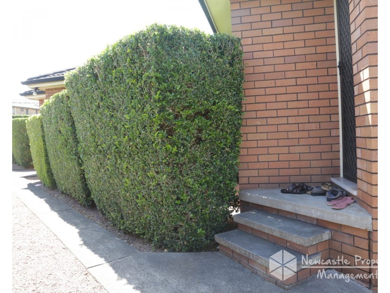 2/26 Liguori Court, Mayfield NSW 2304