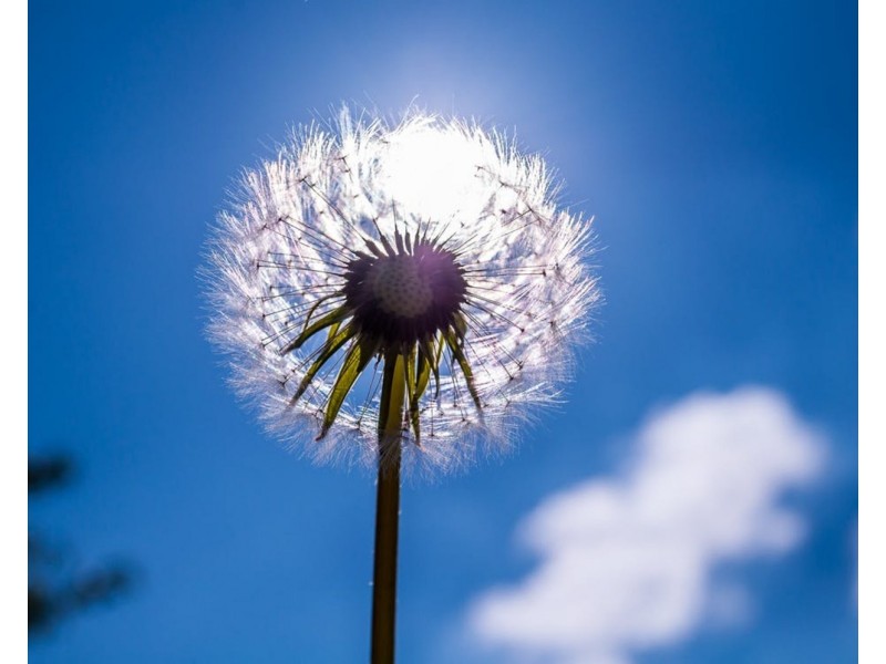 Lot Lot, 310 Brushworth Drive, Edgeworth NSW 2285