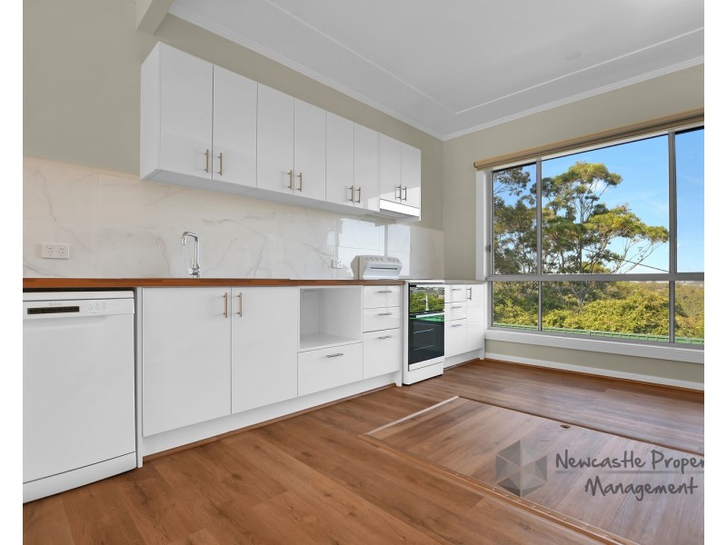 74 Main Road, Cardiff Heights NSW 2285