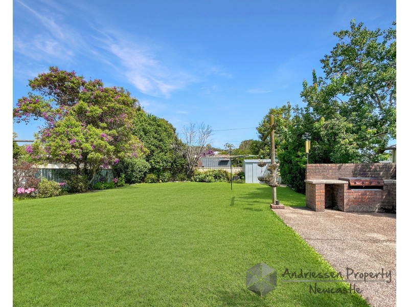 103  Macquarie Road, Cardiff NSW 2285