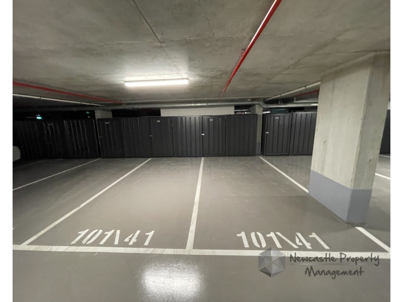 101/41 Honeysuckle Drive, Newcastle NSW 2300