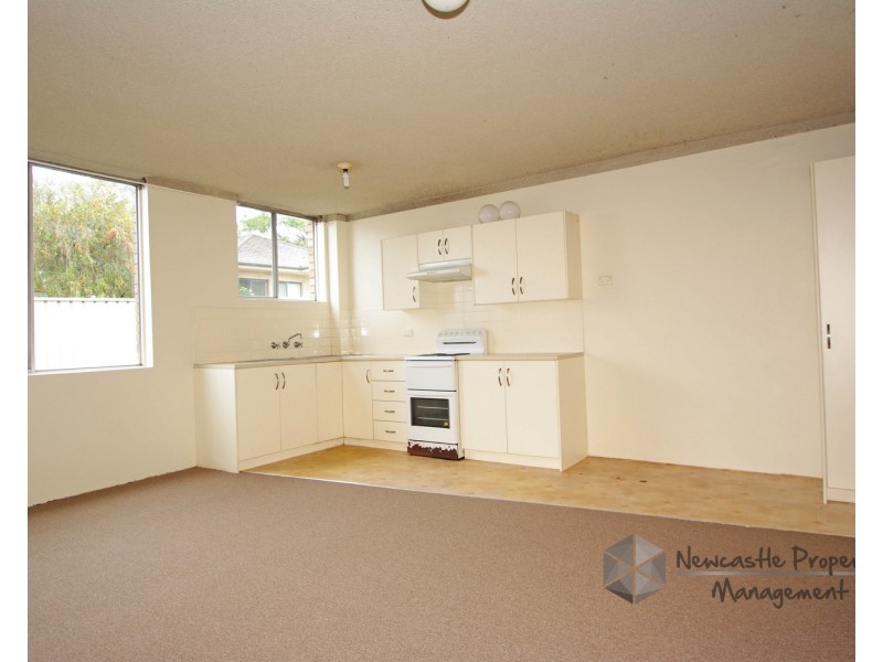 3/102 Bridge Street, Waratah NSW 2298