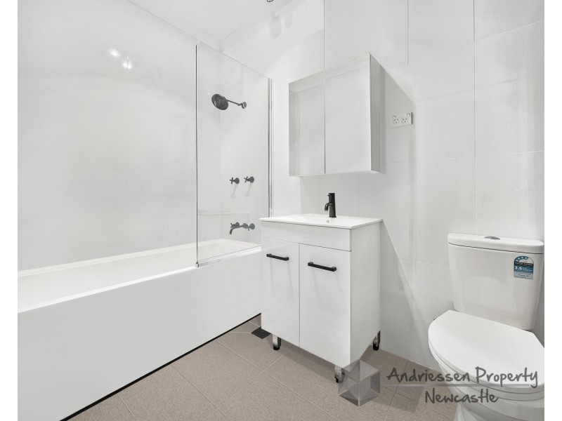 7 Albert Street, Lambton NSW 2299