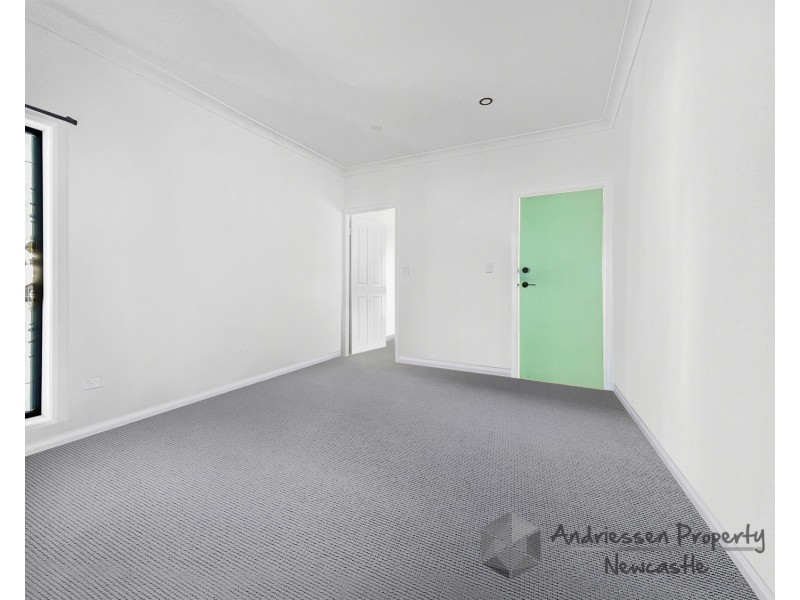 7 Albert Street, Lambton NSW 2299