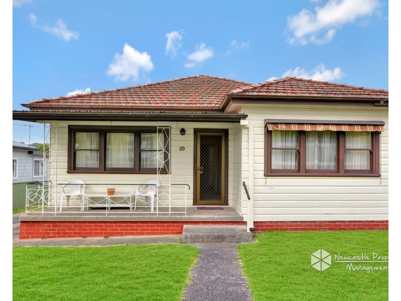 119 Cardiff Road, Elermore Vale NSW 2287