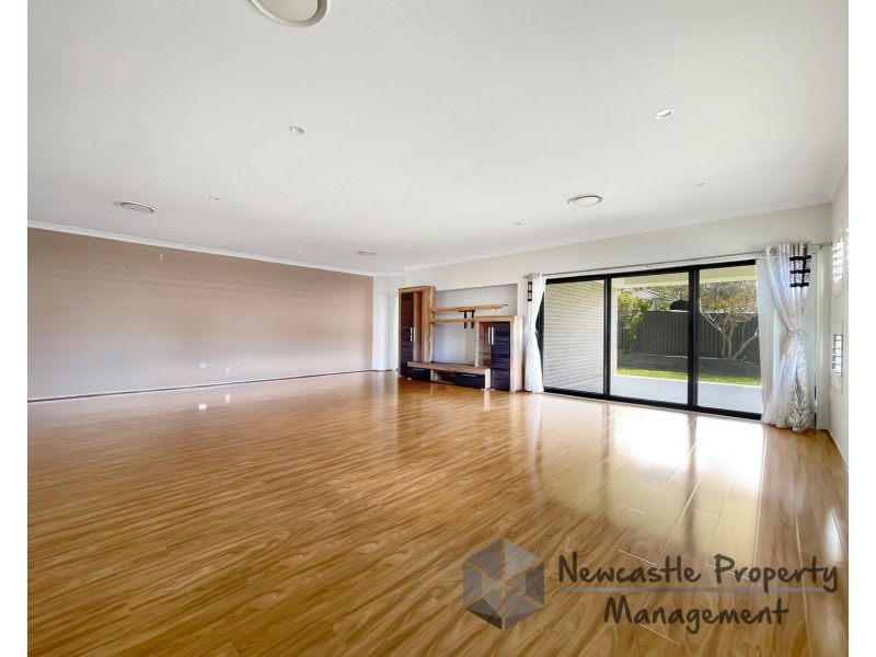 20 Discovery Drive, Fletcher NSW 2287
