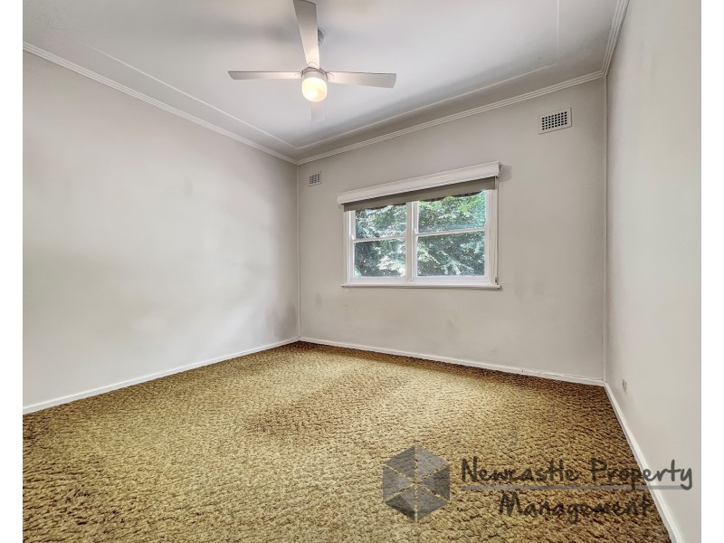 17 Lovell Street, Cardiff NSW 2285