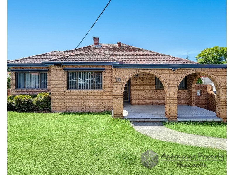 16 Harrison Street, Cardiff NSW 2285