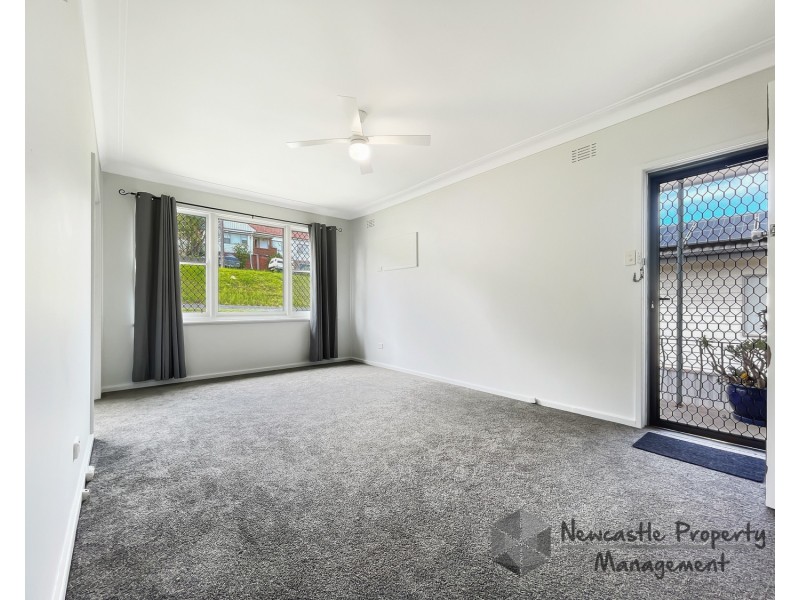 264 Christo Road, Waratah West NSW 2298
