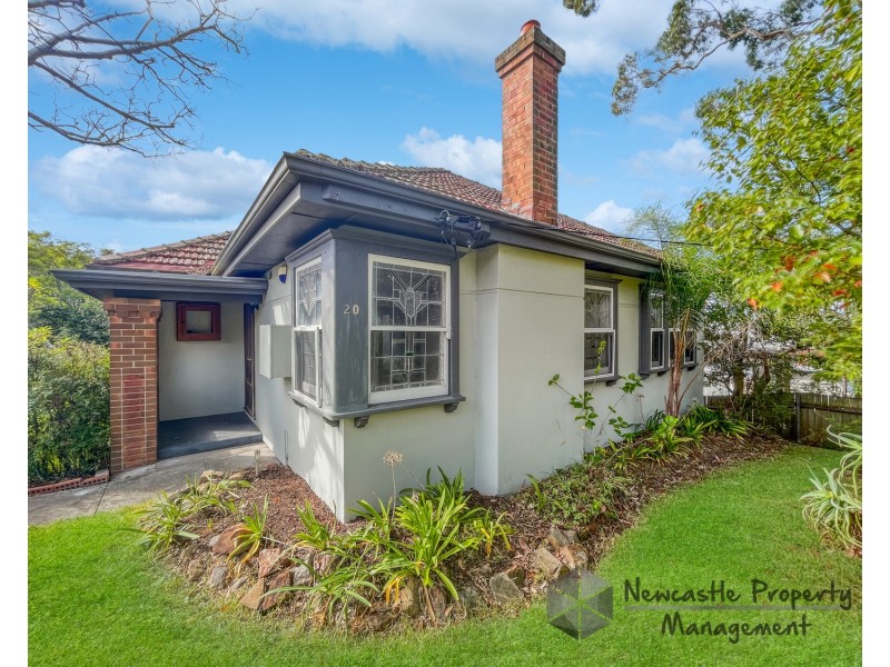 20 Aldyth Street, New Lambton NSW 2305