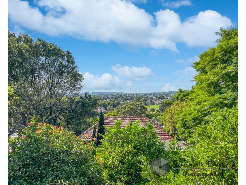 20 Aldyth Street, New Lambton NSW 2305