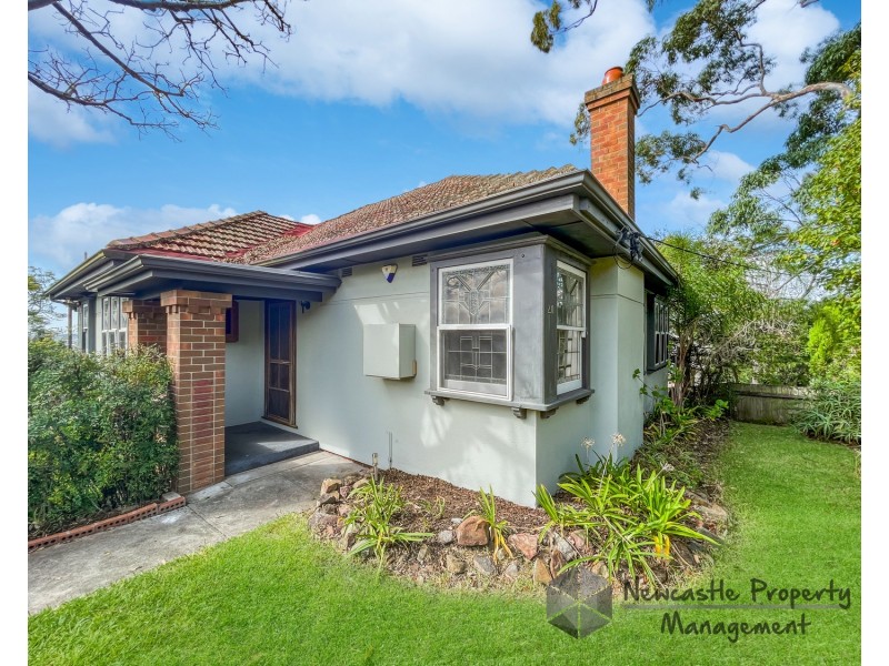 20 Aldyth Street, New Lambton NSW 2305