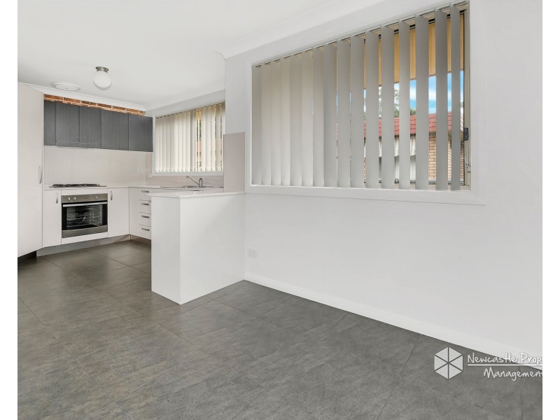 1/3 Skilton Avenue, East Maitland NSW 2323