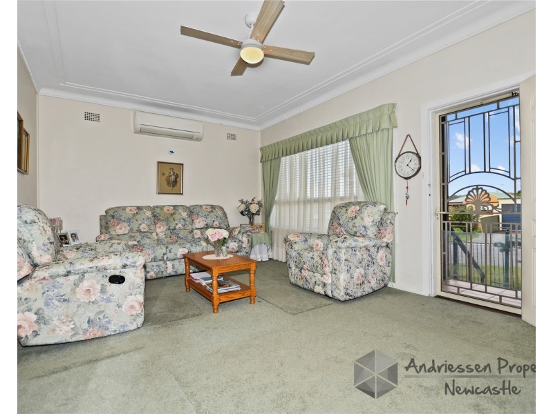 31 Helen Street, Cardiff South NSW 2285