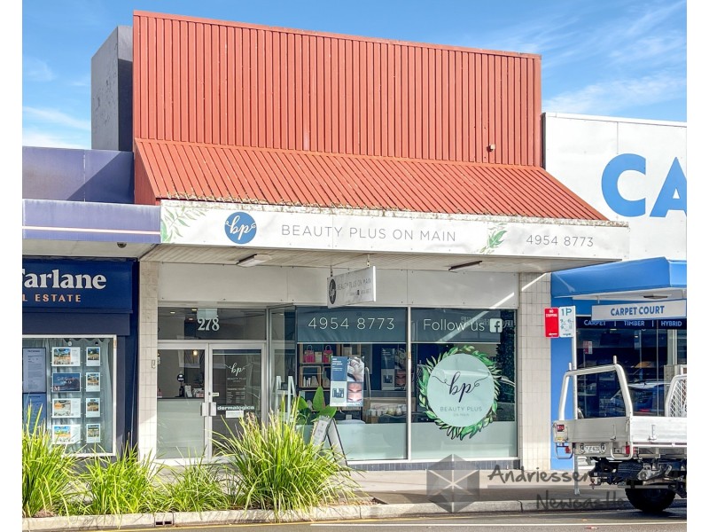 278 Main Road, Cardiff NSW 2285