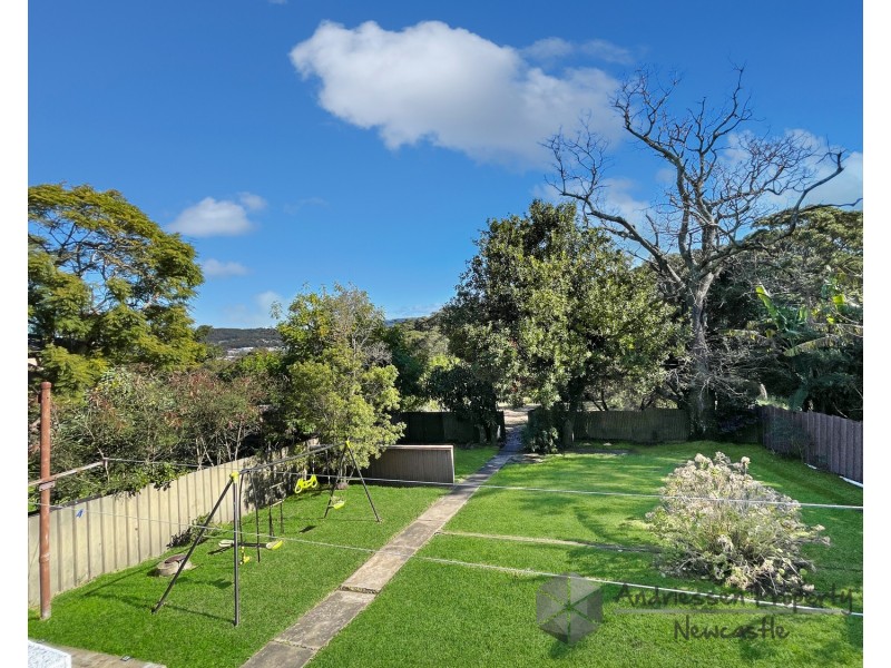 167 Main Road, Cardiff NSW 2285