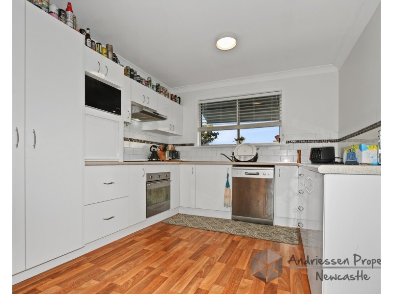 53 Hebburn Street, Pelaw Main NSW 2327