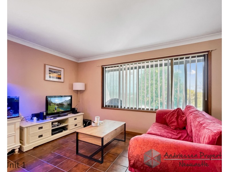 Flats 1-3/3B Peatties Road, Cardiff NSW 2285