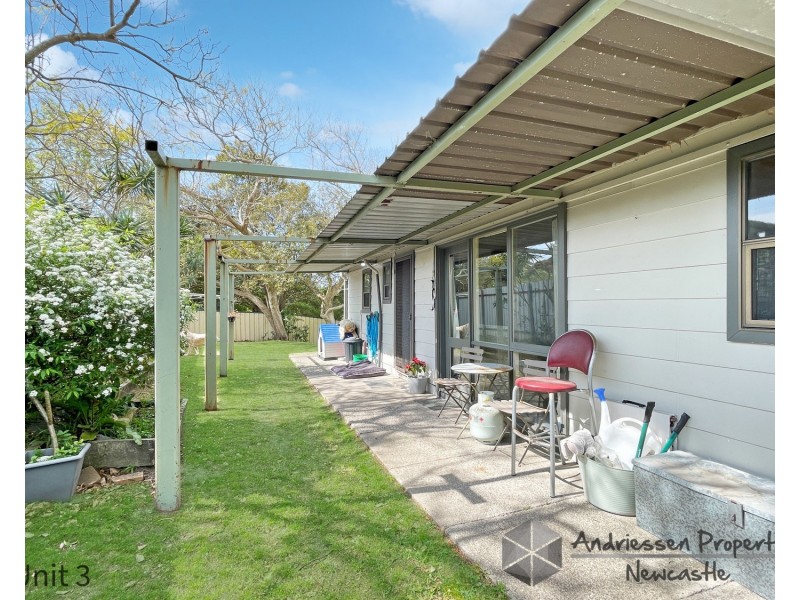 Flats 1-3/3B Peatties Road, Cardiff NSW 2285