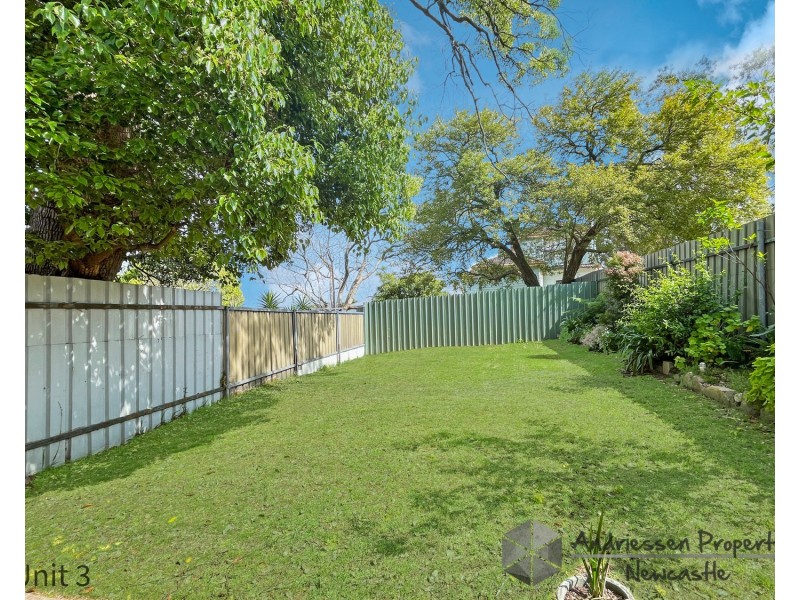 Flats 1-3/3B Peatties Road, Cardiff NSW 2285