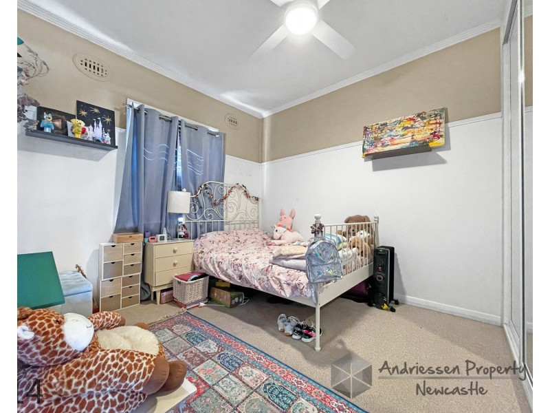 14 & 14a Lees Street, Charlestown NSW 2290
