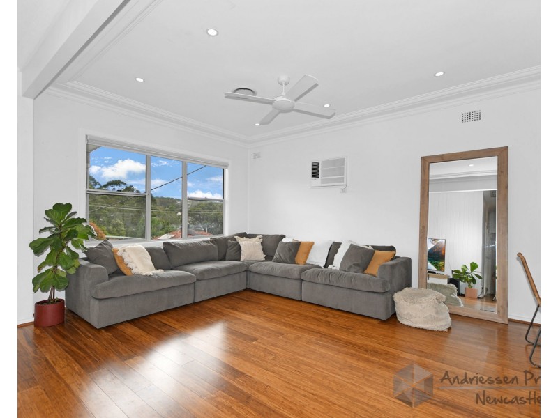 8 Michele Crescent, Glendale NSW 2285