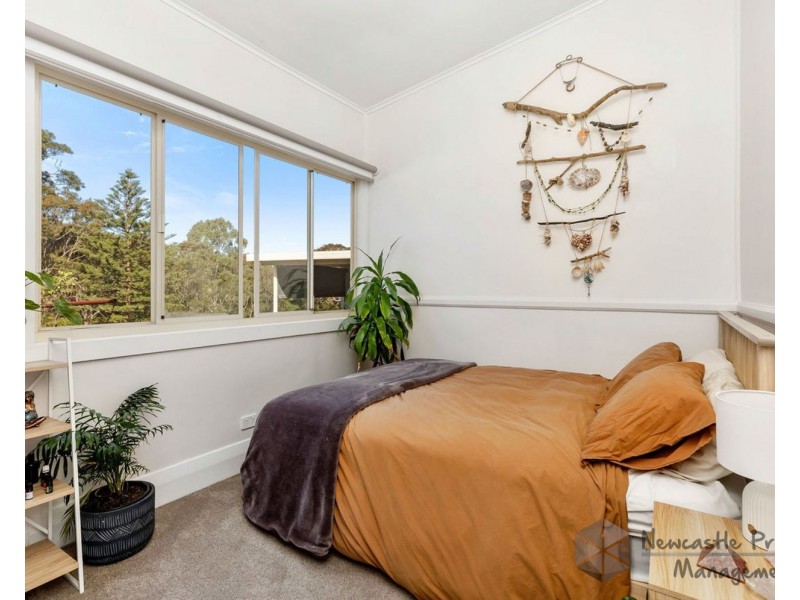 56A Bulls Garden Road, Whitebridge NSW 2290