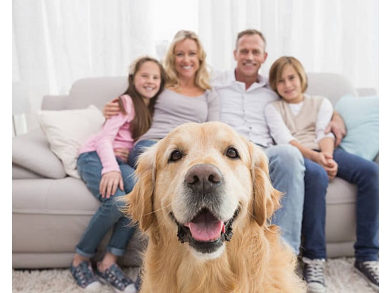 Lot Lot, 1010 Crows Ash Avenue, Edgeworth NSW 2285