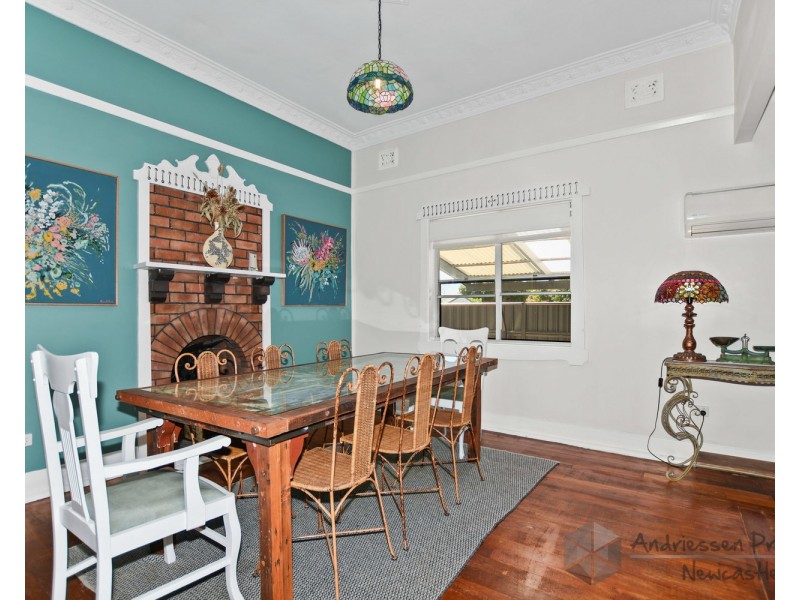 19 Newcastle Street, Cardiff NSW 2285