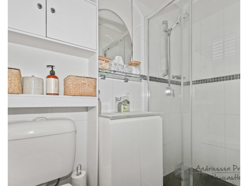 19 Newcastle Street, Cardiff NSW 2285