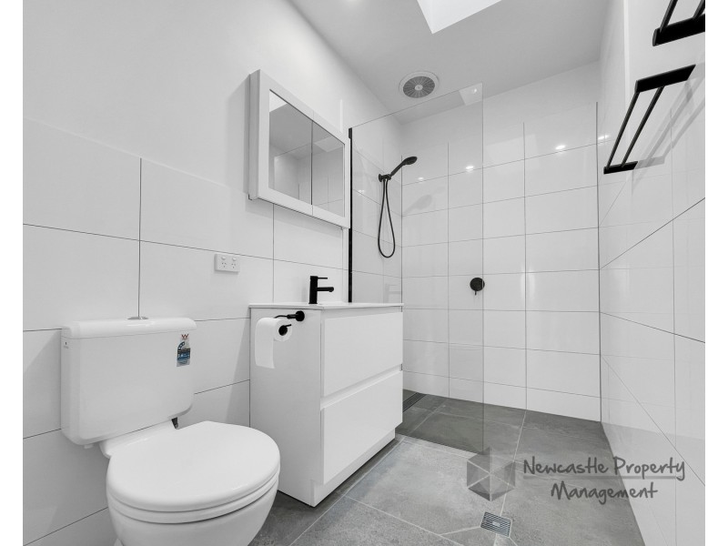 4  Roath Street, Cardiff NSW 2285